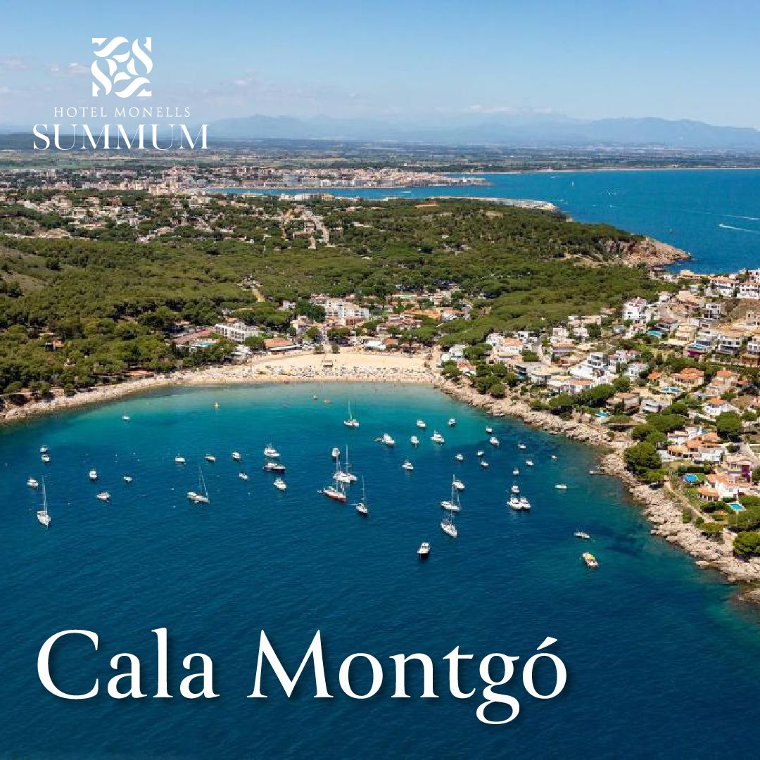 1_Montgó