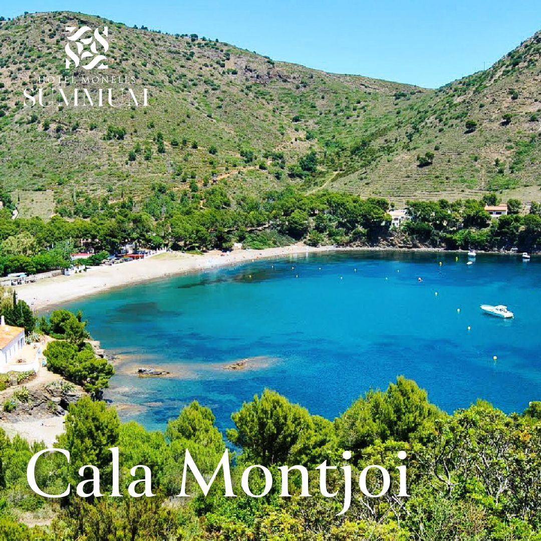 3_Montjoi