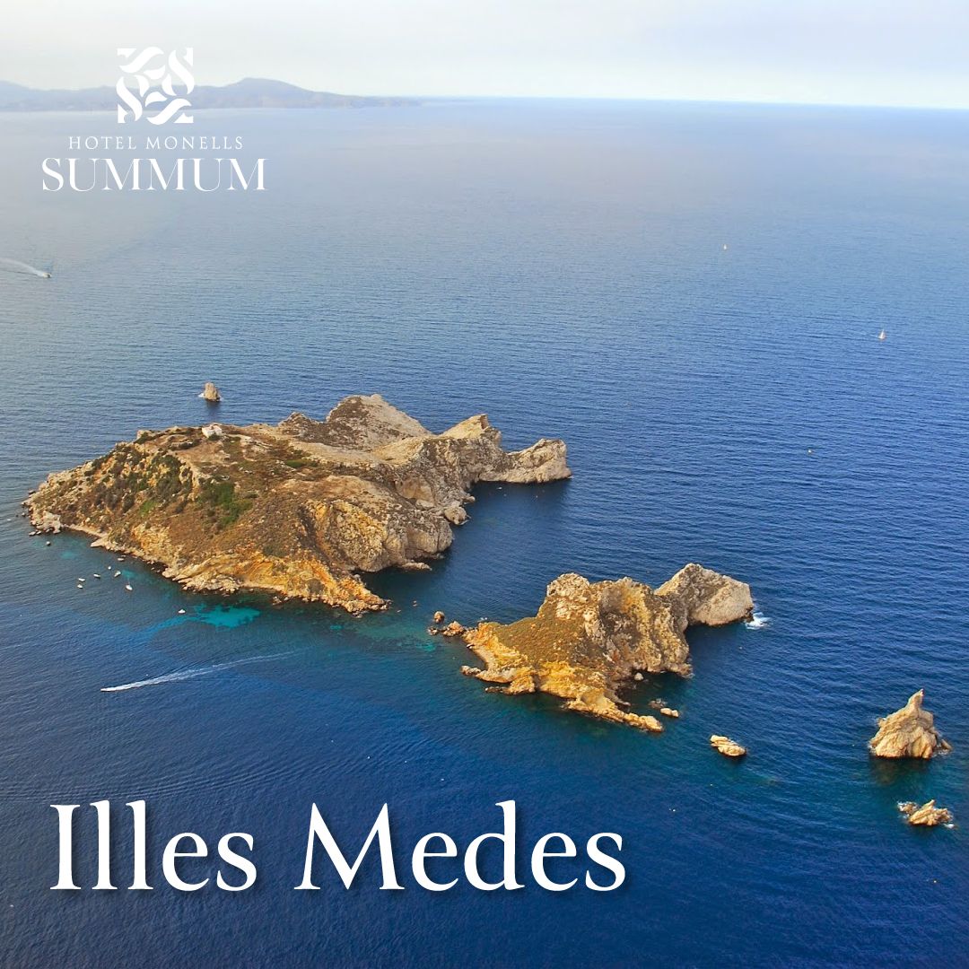 6_Medes